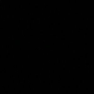 Meet your Posher, Leilani